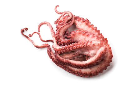 Octopus isolated on white background, sea food. Freshly boiled octopus closeup, Mediterranean cuisine, dinner, seafood. Gourmet foodの写真素材