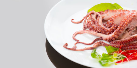 Octopus served with vegetables, sea food. Freshly boiled octopus on a white plate, Mediterranean cuisine, dinner. Border design on grey background.の写真素材