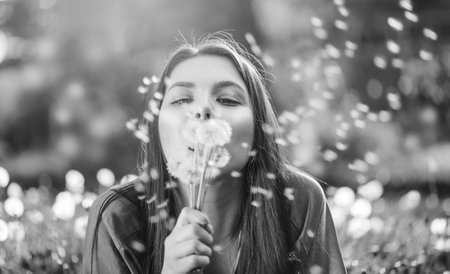 Beautiful Young Woman lying on the field in grass and blowing dandelions. Outdoors. Enjoy Nature. Healthy Smiling Girl on spring lawn. Allergy free concept. Freedom. Black and whitの写真素材
