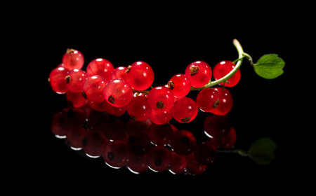 Red currant berry isolated on black background, close up. Fresh and juicy organic redcurrant berries macro shot. Tasty vegan foodの写真素材