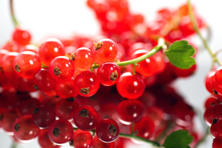 Red currant berries close up. Fresh and juicy organic redcurrant berry macro shot. Tasty vegan food, heap of berries with reflection.の写真素材