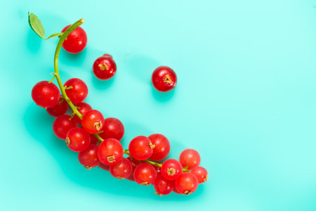 Red currant berries on turquoise background, top view. Fresh and juicy organic redcurrant berry macro shot. Tasty vegan food on blue backdropの写真素材