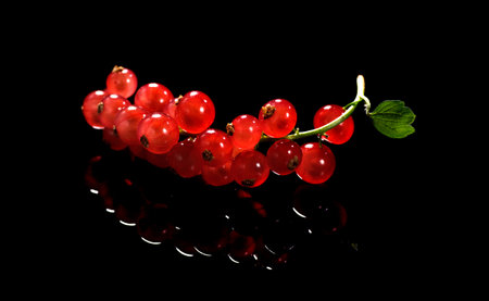Red currant berry isolated on black background, close up. Fresh and juicy organic redcurrant berries macro shot. Tasty vegan food.の写真素材