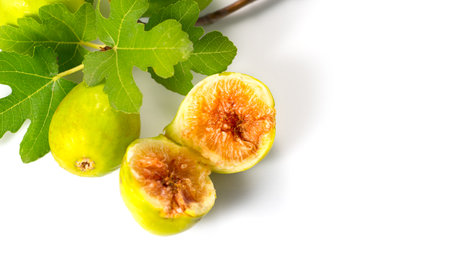 Fig fruits. Ripe sweet yellow, green figs fruit with leaves close up, isolated on white background, border designの写真素材