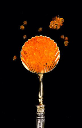 Red Caviar in a spoon isolated on black background. Close-up of salmon fish roe caviar. Delicatessen. Texture of trout caviar. Seafood backdrop. Vertical imageの写真素材
