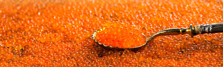 Red Caviar in a spoon. Caviar background. Fish roe, Close-up salmon or trout caviar. Delicatessen. Gourmet food. Texture of caviar. Seafood.の写真素材