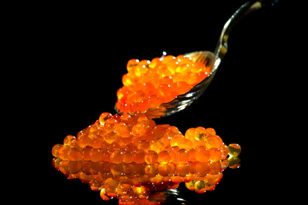 Red Caviar in a spoon. Caviar isolated on black background. Fish roe, Close-up salmon or trout caviar. Delicatessen. Gourmet food. Texture of caviar. Seafood border designの写真素材