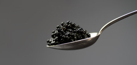 Black Caviar in a silver spoon over gray background. High quality natural sturgeon black caviar close-up. Delicatessen. Texture of expensive luxury caviar background.の写真素材