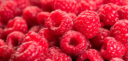 Raspberry fresh berries closeup, ripe fresh organic Raspberries red background, macro shot. Harvest...