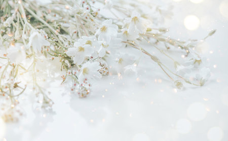 Beautiful tiny wild flowers bunch over white background, soft pastel colours, beauty invitation card design, wedding, birthday border art. Macro shot, nature, field flowersの写真素材