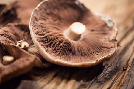 Mushroom Champignon over Wooden Background. Autumn Mushrooms macro shot. Brown Champignons over Wooden Background, close up on wood rustic table. Cooking delicious organic mushroomの写真素材