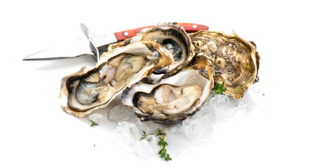 Oysters close up with knife, open french oysters, isolated on white background. Healthy sea food. Oyster dinner in restaurant. Gourmet food, delicatessen. Border design. Fine de Clの写真素材