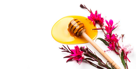 Honey dripping, pouring from wooden honey dipper spoon, isolated on white background. Close-up. Healthy organic liquid honey spill, decorated with gaura flowersの写真素材