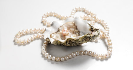 Pearl, One natural pearl inside the oyster shell, close up, on light gray background. Nacre. Real Pearls necklace. Mother-of-pearl. Wealth concept.の写真素材
