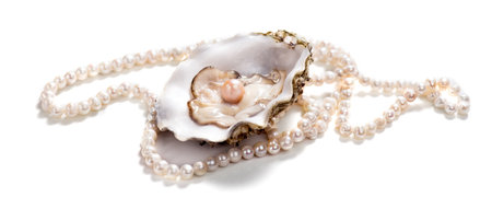 Pearls, One Natural pearl inside the oyster shell, close up, on white background. Nacre. Pearl necklace. Mother-of-pearl. Jewellery. Wealth concept.の写真素材