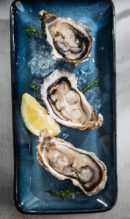Fresh Oysters on a blue plate, open french oyster with lemon, served table in restaurant, dinner with champagne. Delicatessen, Healthy sea food. Oyster. Gourmet food.の写真素材