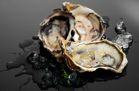 Oyster close up over black background, open french oysters on ice. Healthy sea food. Oyster dinner in restaurant. Gourmet food, delicatessen.の写真素材