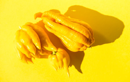 Buddha hand citrus fruit. Yellow Organic fingered citron, Buddha's hand citrus fruits with fingers of plant over yellow background. Aromatherapy concept, top viewの写真素材