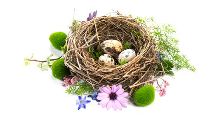 Easter quail eggs in a nest and spring flowers isolated on white background. Beautiful colorful quail eggs in a real birds nest decorated with flowers and leaves. Spring Holidays aの写真素材
