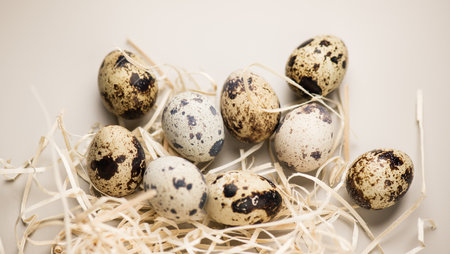Quail eggs, breakfast, fresh quail eggs and straw on beige background. Easter border design, flat lay, top view. Healthy diet food concept, dietの写真素材