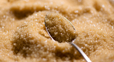 Brown Cane sugar in a spoon close up. Healthy eating, diet concept, macro shot, closeupの写真素材