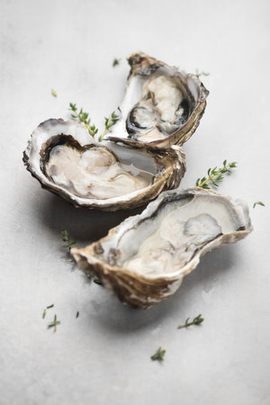 Oysters top view. Open fresh oysters on a gray table. Healthy sea food. French Oyster dinner in restaurant. Grey background. Seafood, Gourmet food. Flat lay. Vertical image.の写真素材