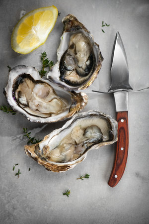 Fresh Oysters with lemon. Open oysters and knife on a gray table. Healthy sea food. French Oyster dinner in restaurant. Grey background. Seafood, Gourmet food. Flat lay, top view.の写真素材