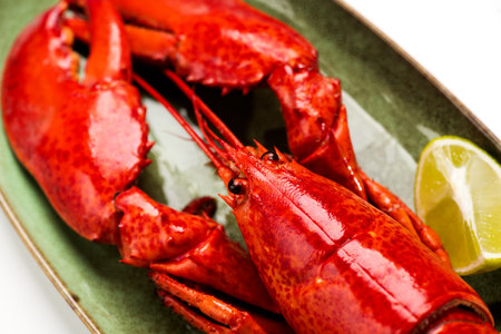 Lobster seafood, gourmet food close up, top view, flat lay, from above. Art designの写真素材