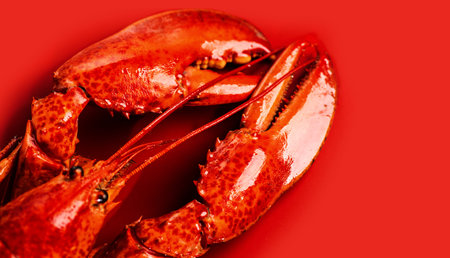 Lobster seafood, gourmet food, steamed lobster with big claws on red background, top view, flat lay,...