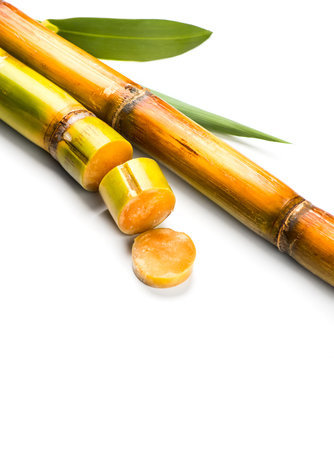 Sugar cane stalks and leaves, sugarcane sticks isolated on white background. Organic Saccharum...
