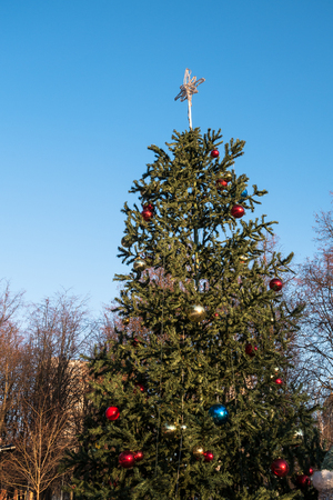 A solemn decorated Christmas tree in a city park, energizing a festive spirit, is a pleasant surprise for citizens, especially for kids.の写真素材