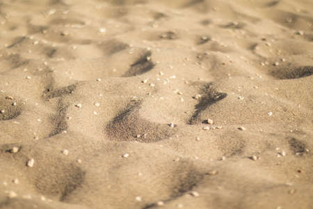 Sand dunes with pebbles, low angle.の写真素材