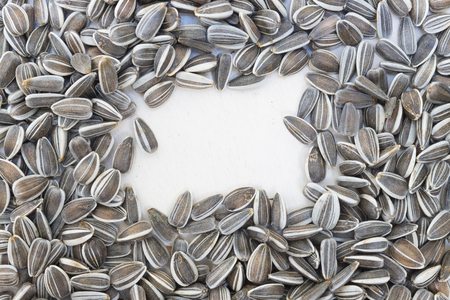 Textured frame or window using raw organic white and black freshly harvested sunflower seeds on white painted wooden rustic table with copy spaceの写真素材