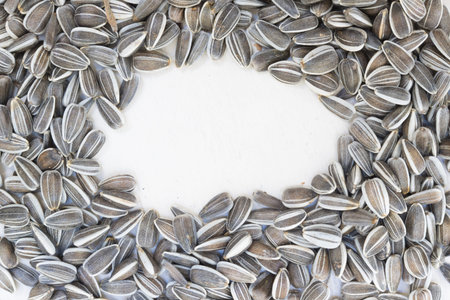 Textured frame or window using raw organic white and black freshly harvested sunflower seeds on white painted wooden rustic table with copy spaceの写真素材