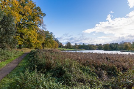 Autumn foliage warm colours on a beautiful sunny day at the park, Abbey Fields, Kenilworth, Warwickshire, England, November 2017.の写真素材