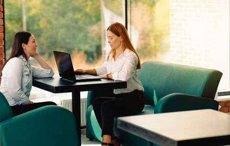 Profile side view of stylish focused serious two women attending, brainstorming company development strategy plan at modern industrial brick loft style interior workplace. Interviewの写真素材