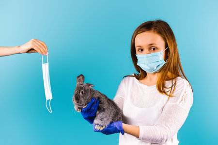Easter holidays during a pandemic. Caucasian blonde girl holding a rabbit on a blue background and...