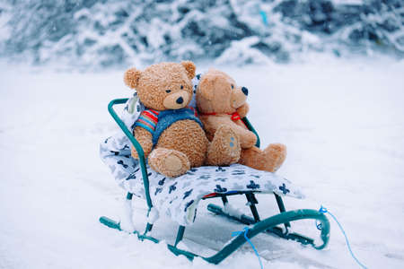 Two awesome teddy bears sledding in the winter snow. White natural landscape, snowy background with empty side space for you advertisementの写真素材