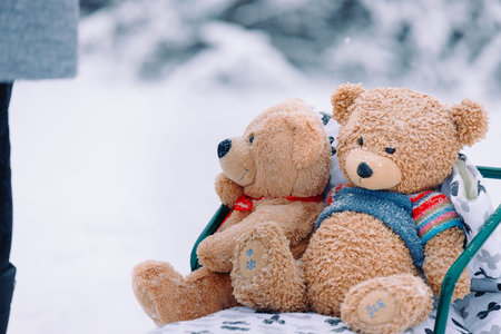 Teddy bears sitting on a sleigh on a white snow background in the park. Winter walk, best gift, kid...