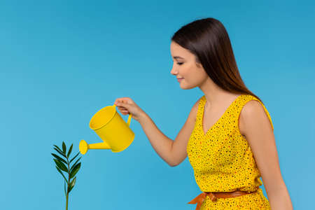 Woman watering flowers with water. The girl takes care of the house plants, the flowers in the pots.の写真素材