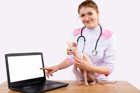 Online medical help for animals. A veterinarian woman with a cat on the table and a laptop is blogging. White background.の写真素材