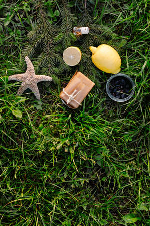 Composition of exotic seashells, starfish and lemon slices. Tropical summer or sea cleaning products concept, top view. Marine, soap and essence on fresh green grass backgroundの写真素材