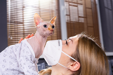 Female owner wearing medical masks for virus protection with her lovely cat wearing trendy body clothes, at home, pandemic concept. No kisses cat, quaratine for postcard, lockdown. High quality photoの写真素材