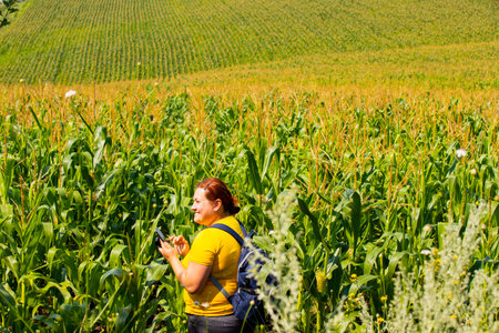 The profile photo of a red hair woman wearing yellow t-shirt with the backpack on the back, holding the smartphone in her hand and standing in the middle of the corn field.の写真素材