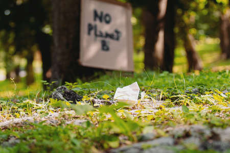 The inscription There Is No Planet B on the cardboard attached to the tree, protection against pollution and global warming, ecological concept.の写真素材