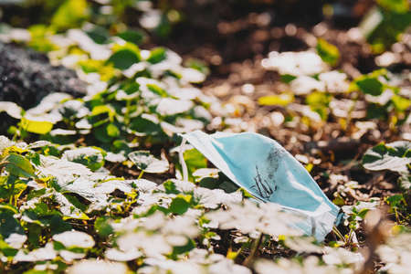 Pollution theme showing people attitude to nature, dirty used medical mask thrown to the ground in the park.の写真素材