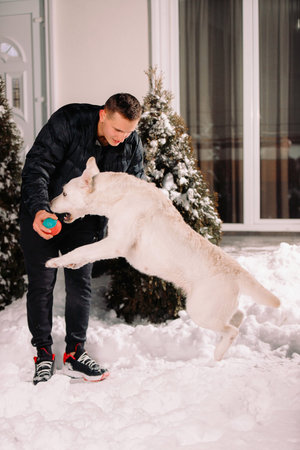 Full-length photo of a man and his dog playing outside in winter with a small ball, dog tries to...