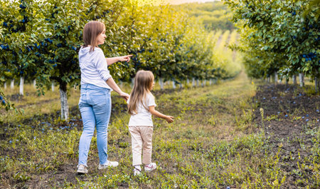 Mother and daughter are in park in sunny colorful day and eat plums.の写真素材
