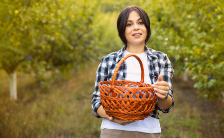 Young pretty girl walks in the blooming garden with picnic basket in hands and picks fresh juicy plums.の写真素材