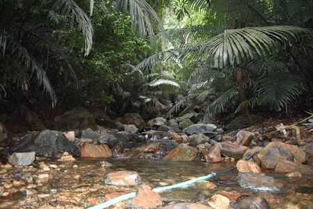 unedited image of water stream flowing in rocky areaの写真素材